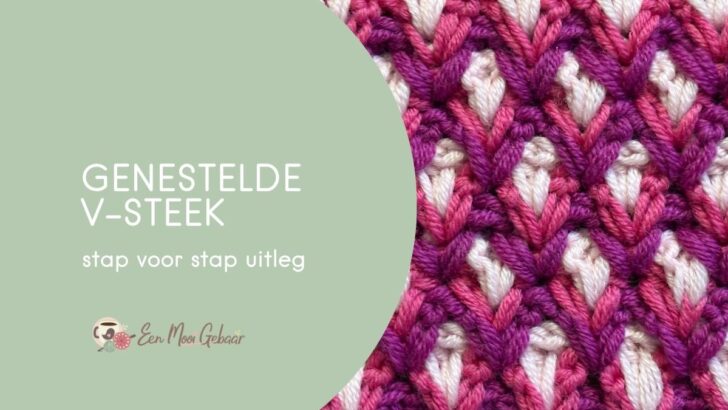 Genestelde V Steek Omslagfoto