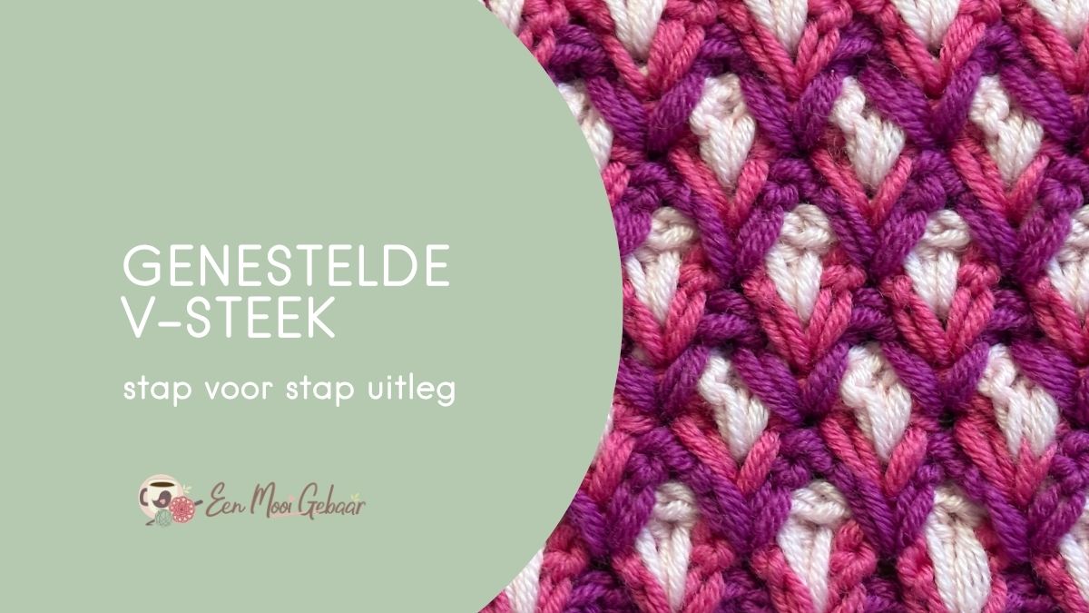 haaksteek genestelde V-steek leren