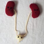 Nieren Haakpatroon 45 Gratis haakpatroon Nieren Haakpatroon - Decoratie, Menselijk lichaam - Anchor Creativa Fino - haaknaald 2 mm