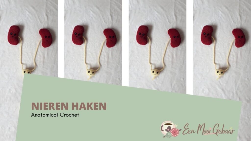 Nieren Haken - Anatomical Crochet - Omslagfoto
