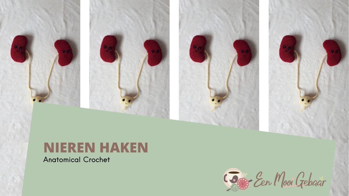 Nieren Haken - Anatomical Crochet - Omslagfoto