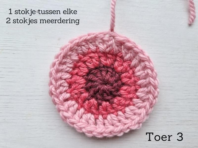 Bloesem Tas NL tekst Toer 3 Attic 24