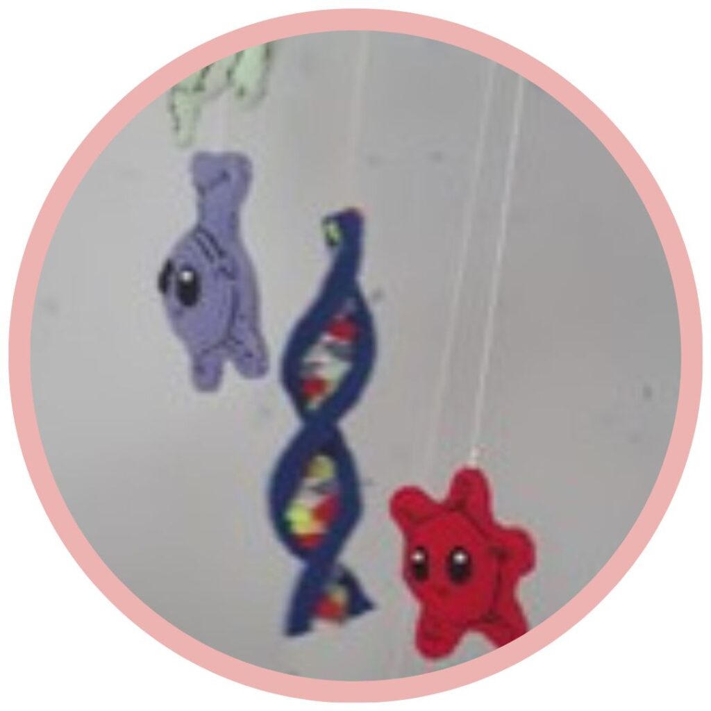 DNA Mobiel Anatomical Crochet Galerij