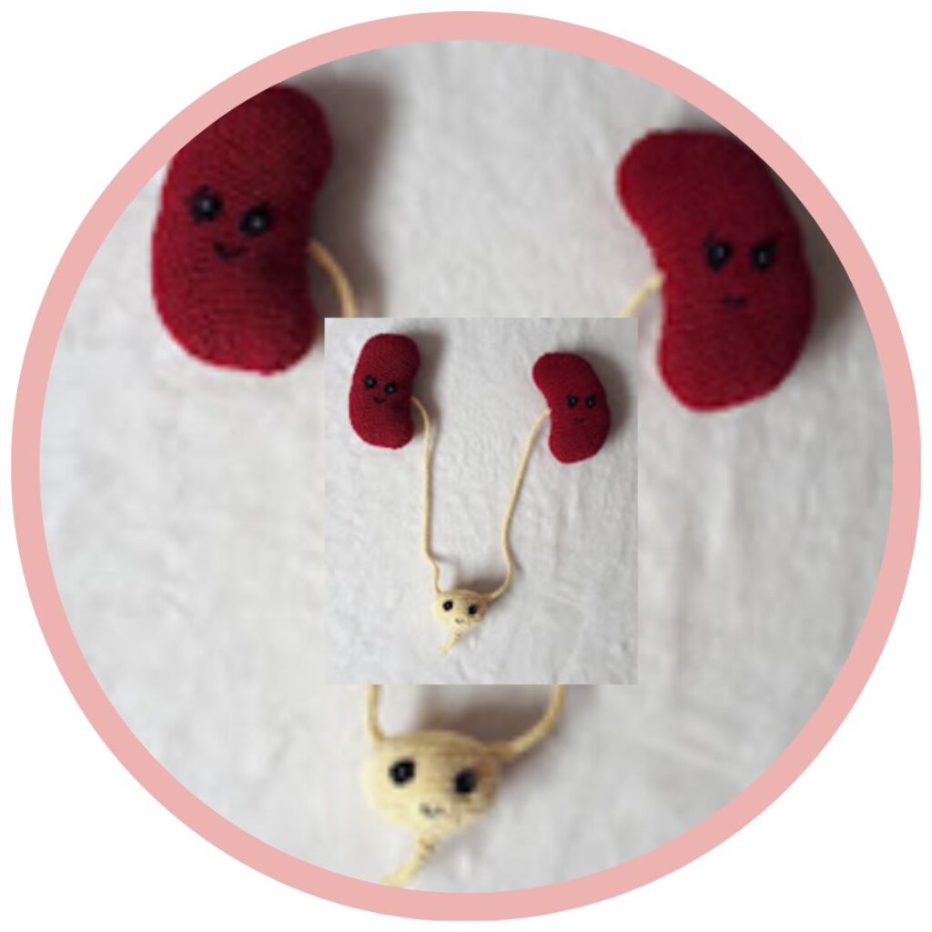 Nieren Haken Anatomical Crochet Galerij