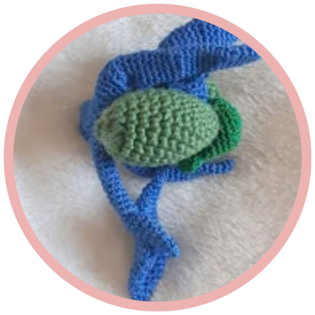 Thalamus en Hypothalamus Haken Anatomical Crochet Galerij