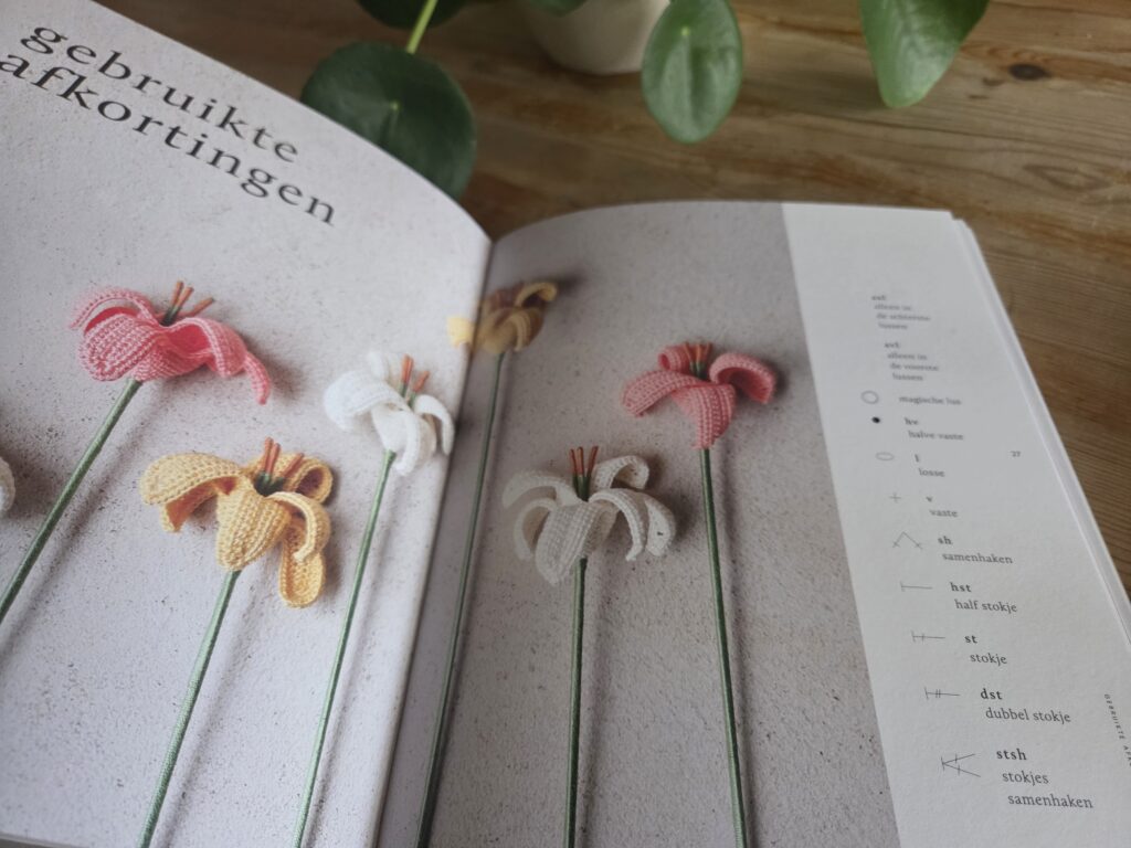 Review: Bloemen haken & Boeket haken à la Sascha — de complete gids voor gehaakte bloemen 3 1000158125